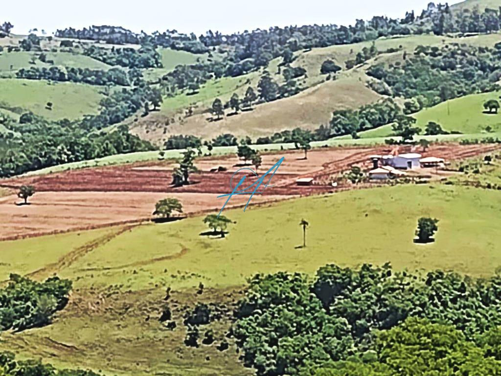 Sítio à venda com 3 quartos, 9m² - Foto 2