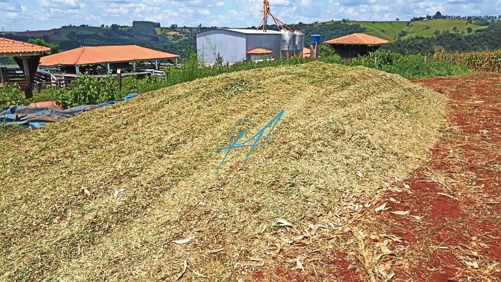 Sítio à venda com 3 quartos, 9m² - Foto 6
