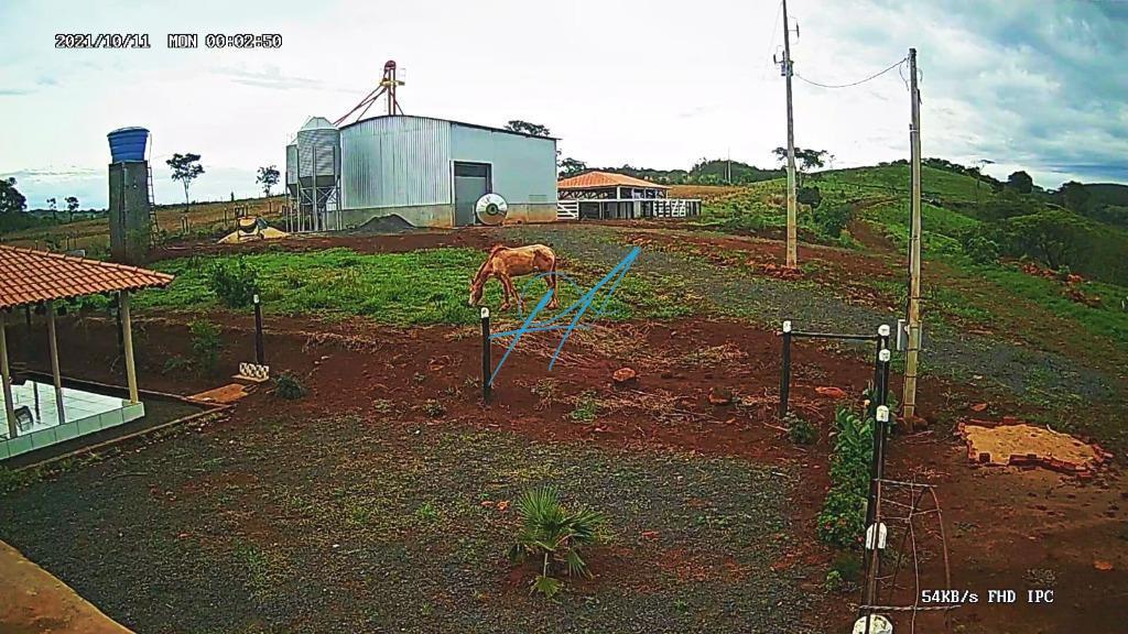 Sítio à venda com 3 quartos, 9m² - Foto 8