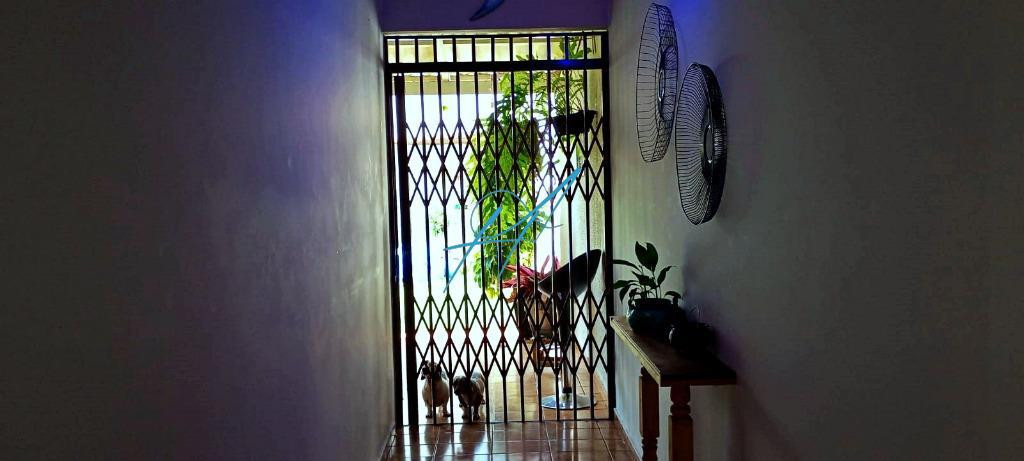 Casa à venda com 3 quartos, 165m² - Foto 28